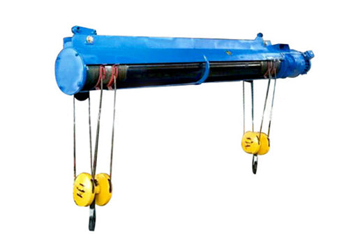 Double hook electric hoist