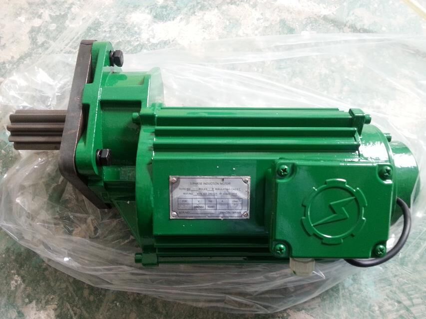 Crane end carriage motor
